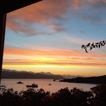 Casa Vacanze Ibiscus ポルトヴェーネレ エクステリア 写真